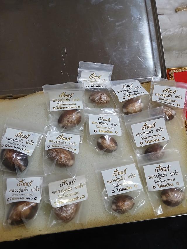 เบี้ยแก้หลวงปู่แผ้วปวโรปี2547 ออกวัดกำแพงแสน