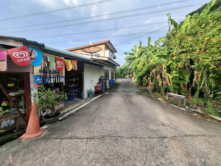 ขายที่ดินเปล่า ถนนบางม่วง-บางคูลัด บางใหญ่ นนทบุรี 4