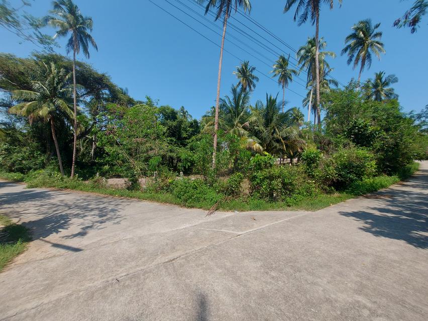 ที่ดินผืนใหญ่ใกล้ทะเล สำหรับคนที่ต้องการความเป็นส่วนตัว 13