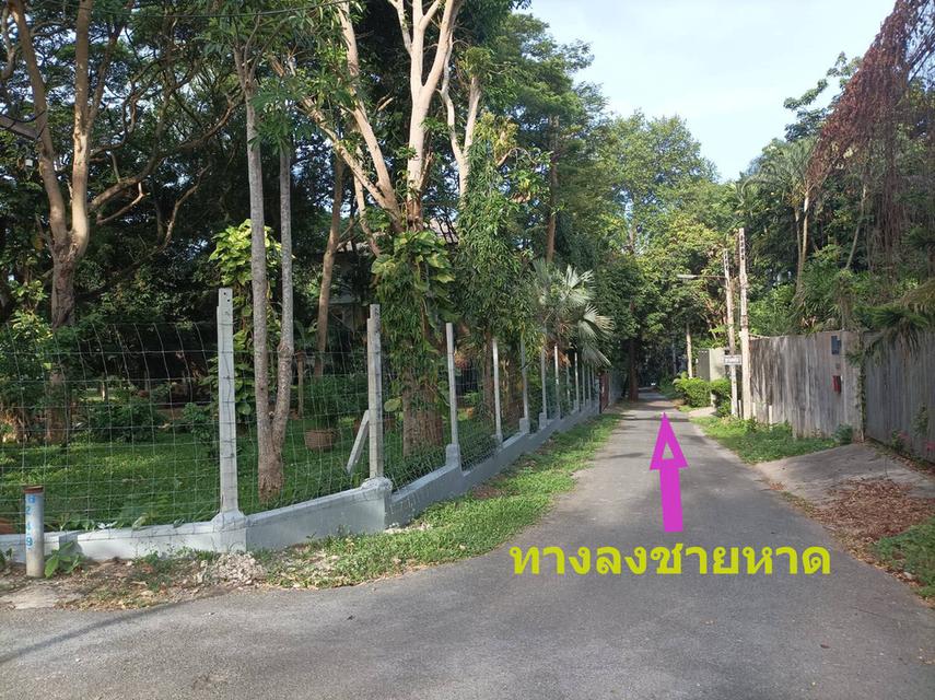 บ้านพูลวิลล่า ใกล้ทะเล150ม.มีทางลงหาด 371 ตรว. บรรยากาศส่วนตัว  2