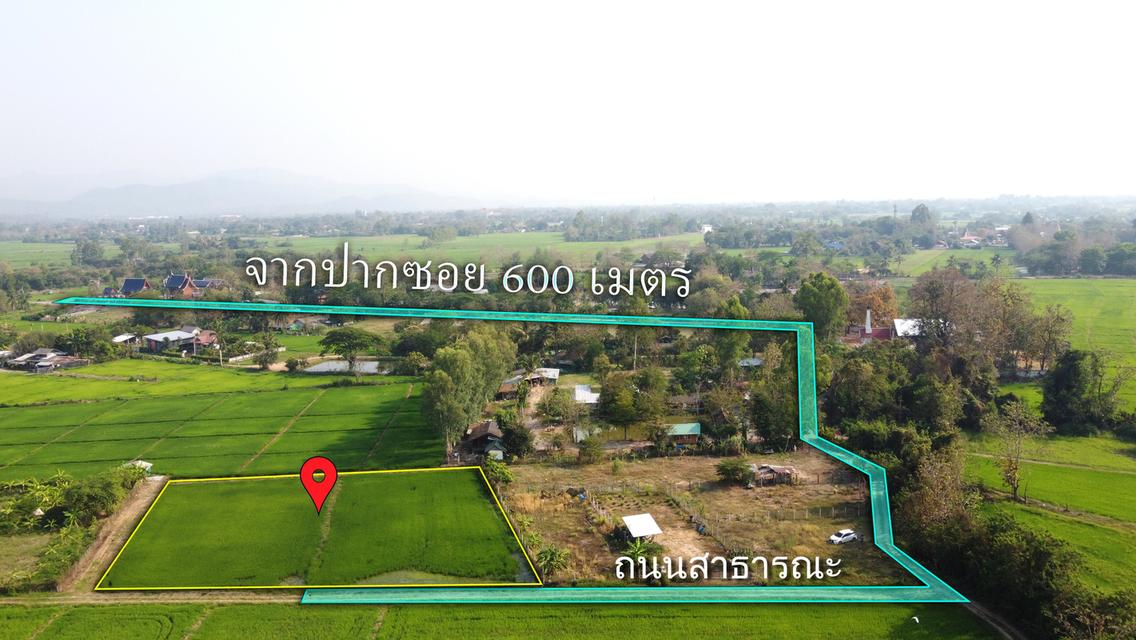 นาแปลงสวย 1-3-13 ไร่ ราคาแสนถูก ใกล้ที่ว่าการอำเภอสันกำแพง  7