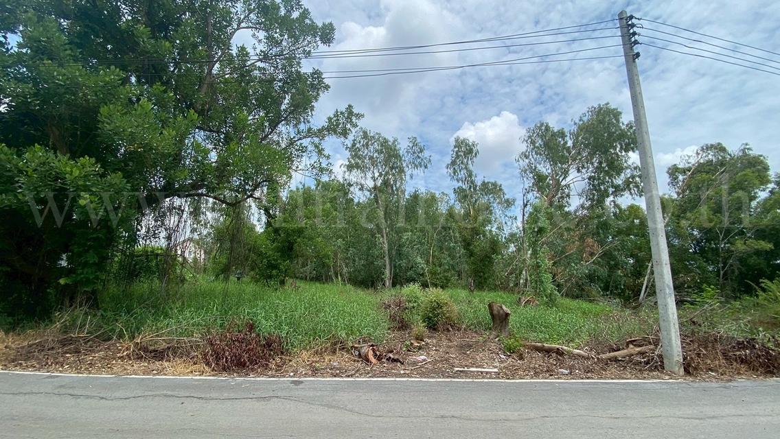 ที่ดินเปล่า 285 ตร.วา ซอยบงกช 55 คลอง 2 ปทุมธานี 7