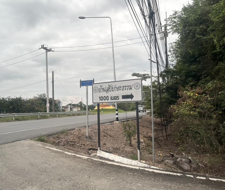 ขายที่ดิน 1 ไร่ คลอง 10 หนองเสือ ปทุมธานี 098 7755 808 3