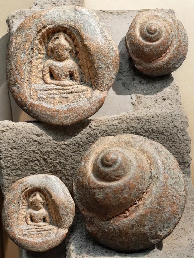 เปิดพระซุ้มกอพิมพ์ก้นหอย กรุวัดพิกุล จ.กำแพงเพชรชอบทำได้ครับ