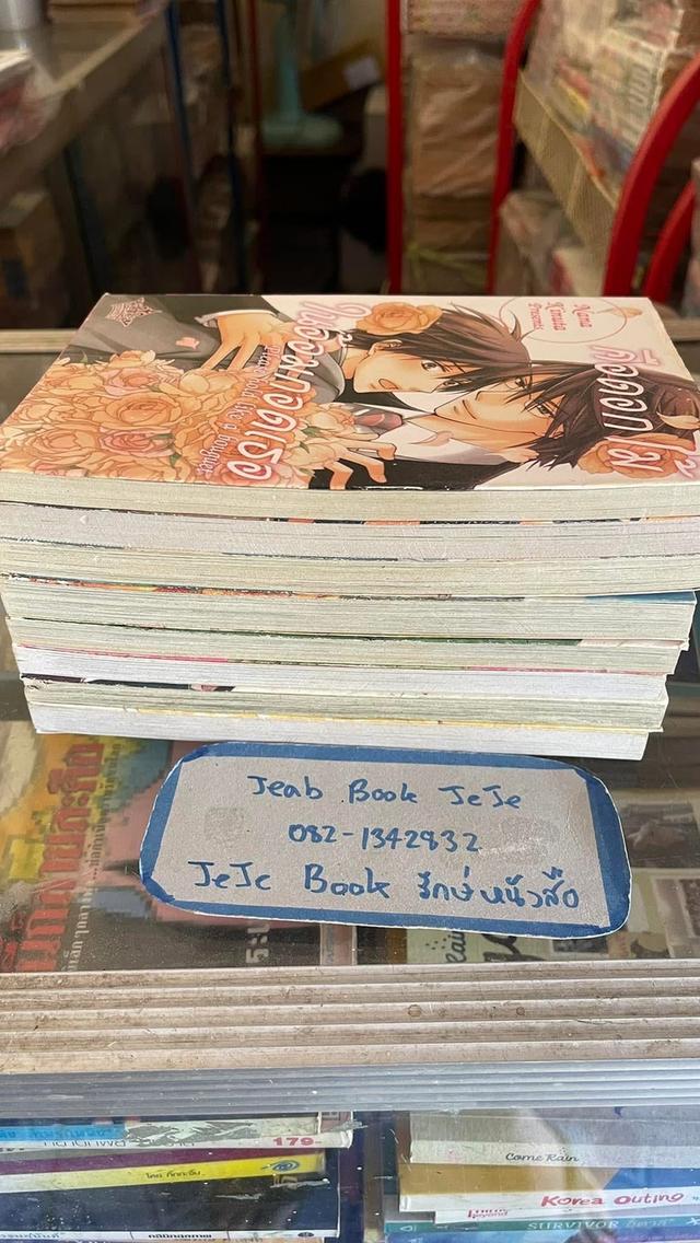 หนังสือการ์ตูน วาย BL เล่มเดียวจบ 11