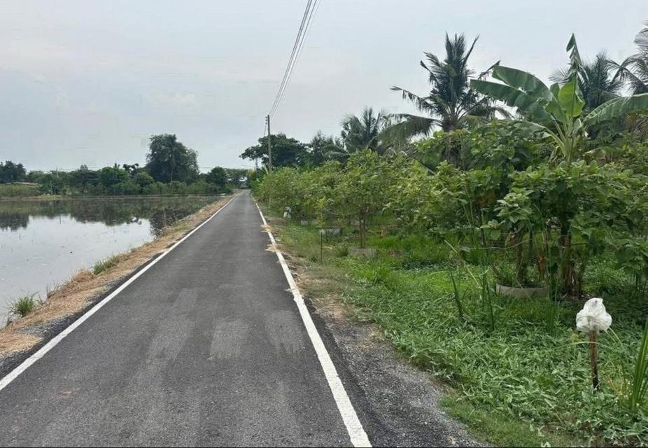 ขายที่ดินลาดหลุมแก้ว 1 ไร่ ติดถนนลาดยาง ใกล้ถนนบางบัวทอง-สุพรรณบุรี340-2.8กม. จ.ปทุมธานี 3
