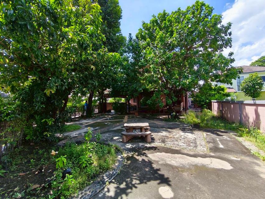 บ้านชัยพฤกษ์ บุศรินทร์ คลอง 2 ตำบลคูคต อำเภอลำลูกกา จังหวัดปทุมธานี 6