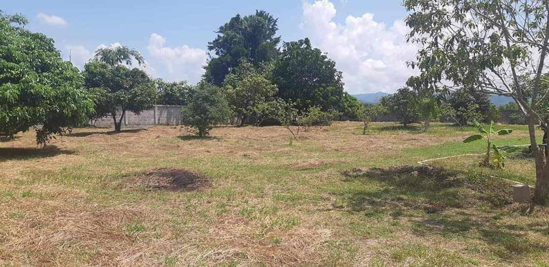 ที่ดินลำพูน ถ่มล้อมรั้ว น้ำ ไฟฟ้า มีครบทุกอย่าง 7