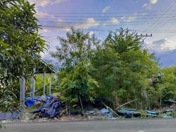 ขายที่ดินเปล่าเคหะคลอง 8 ติดสนาม ลานออกกำลังกาย ถมแล้ว น้ำ-ไฟฟ้าหน้าแปลง โทร 095-1653654 3