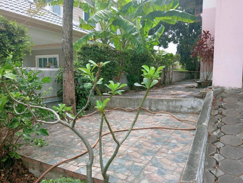 🏡ขาย บ้านเดี่ยว หมู่บ้านชวนชื่น บางนา บางบ่อ สมุทรปราการ 99 ตร.ว 19