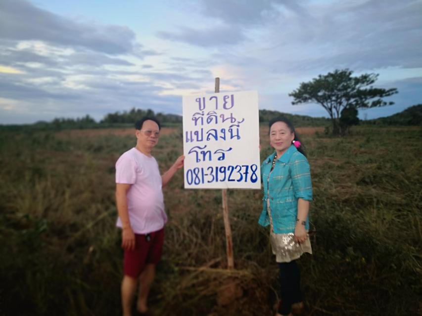 โฆษณาขายที่ดินที่ 374 ไร่อำเภอบ่อพลอย จังหวัด กาญจนบุรี 5