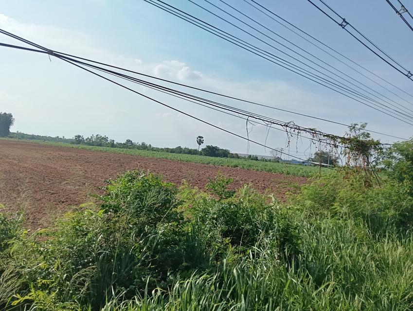 ที่ดินเปล่า ติดถนน304 2