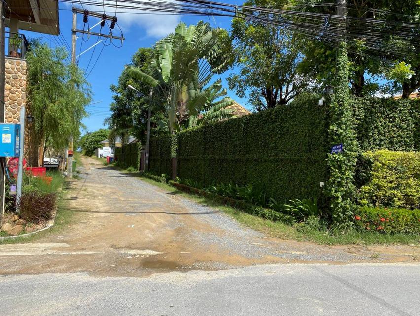 ขายที่ดิน 92.7 ตร.ว. ซอยนานา ตรงข้าม Natcha pool villa Phuket ภูเก็ต (บางโจ)