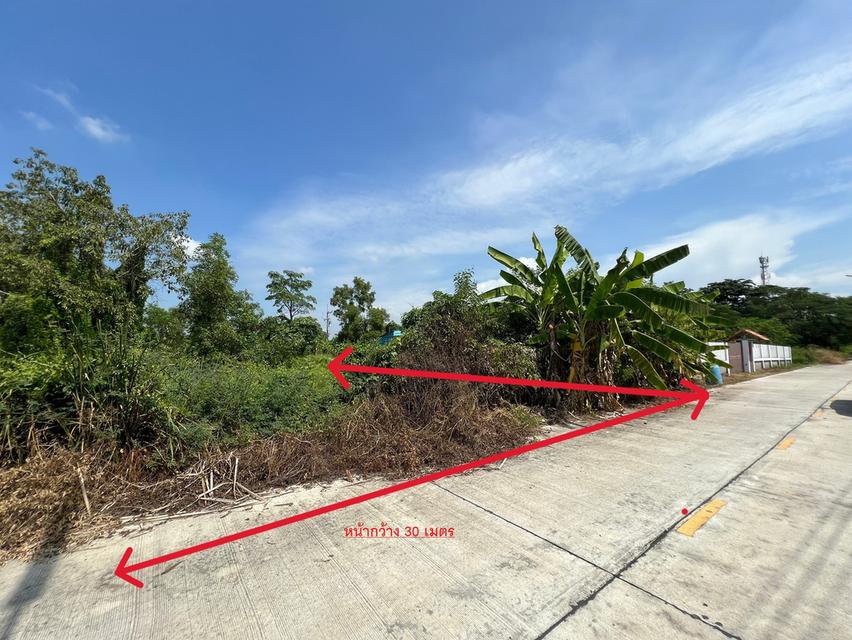 ขาย/เช่า ที่ดิน 200 ตรว. คลอง12 หนองเสือ ปทุมธานี (เจ้าของเอง) 1