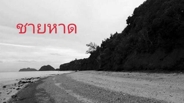 ทรัพย์ดีราคาคุยกันได้แถมวางดาวน์ผ่อนต่อได้ ขายใกล้ทะเลขายถูกเหลือไม่กี่แปลง หาดผาฝั่งแดง UNSEEN THAILAND 5