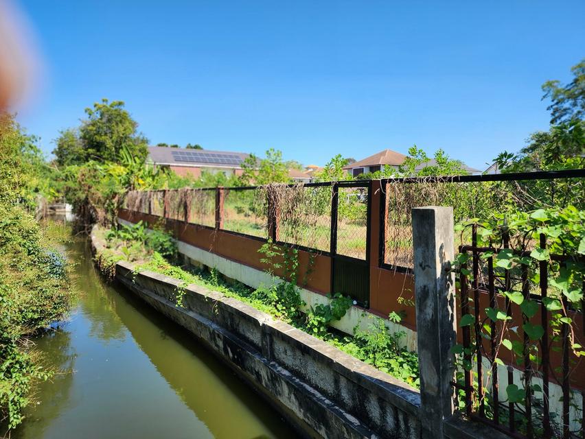 ที่ดิน เปล่าบนถนนพุทธมณทลสาย 1 6