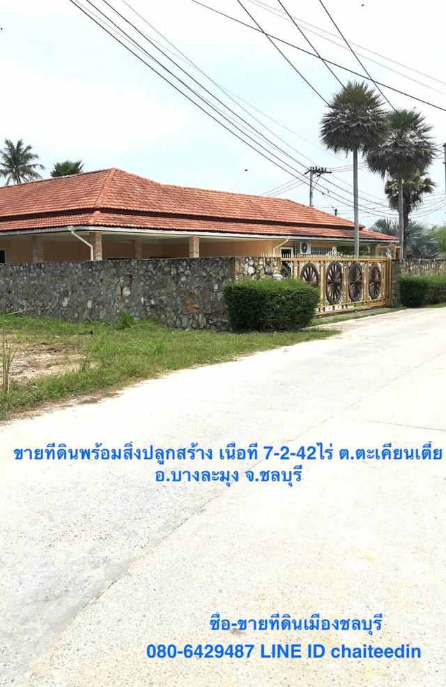 ขายที่ดินพร้อมสิ่งปลูกสร้างเนื้อที่ 7-2-42ไร่ ตะเคียนเตี้ย บางละมุง ชลบุรี ทำเลดี เหมาะสร้างโกดัง-โรงงาน ใกล้ถนนตัดใหม่ 5