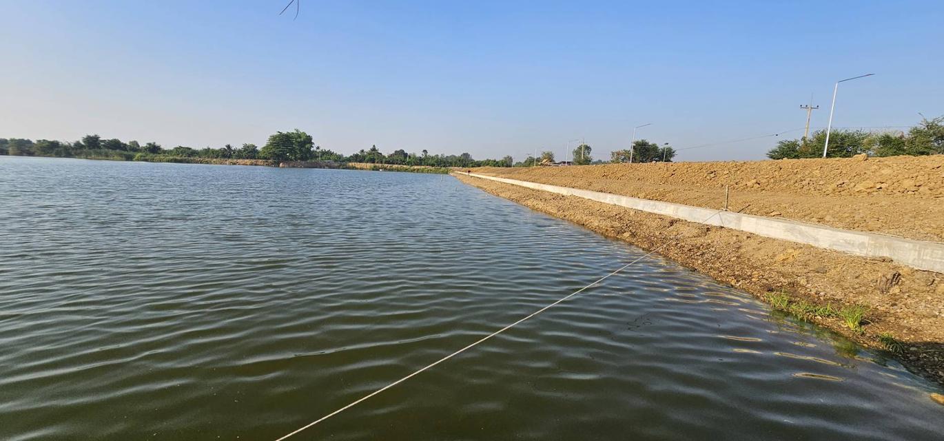 ขายที่ดินติดบึงน้ำใหญ่ บรรยากาศดีเหมือนอยู่ทะเล ใกล้กรุงเทพแค่ 1 ชม 19