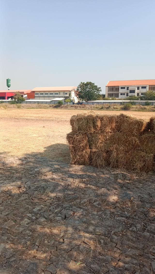 ที่ดิน  ต.ท่าระหัด อ.เมือง จ.สุพรรณบุรี 1