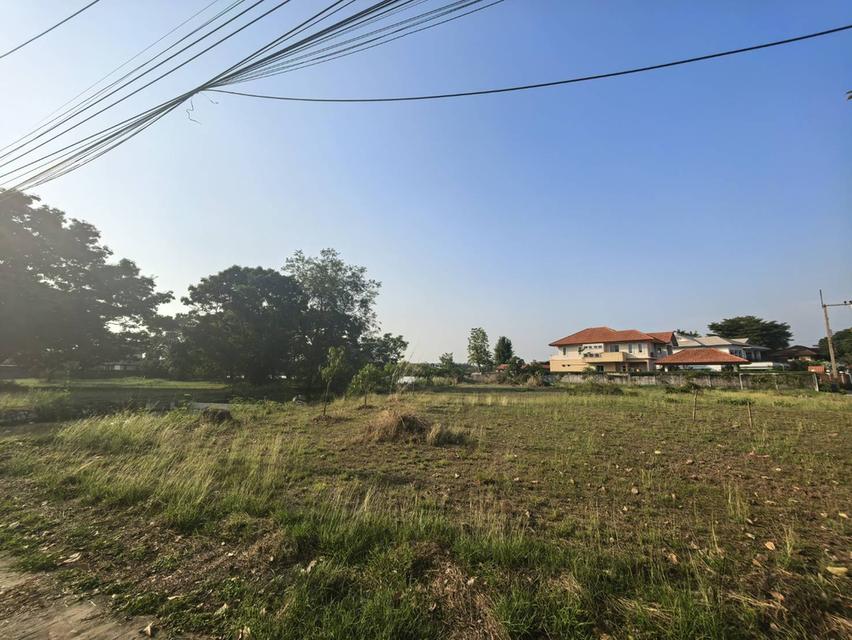 ⛳ เหมาะสำหรับปลูกสร้างบ้าน 🏡ในโครงการหมู่บ้านเดอะลากูน1 อำเภอสามโคก จังหวัดปทุมธานี ติดละเลสาป 13