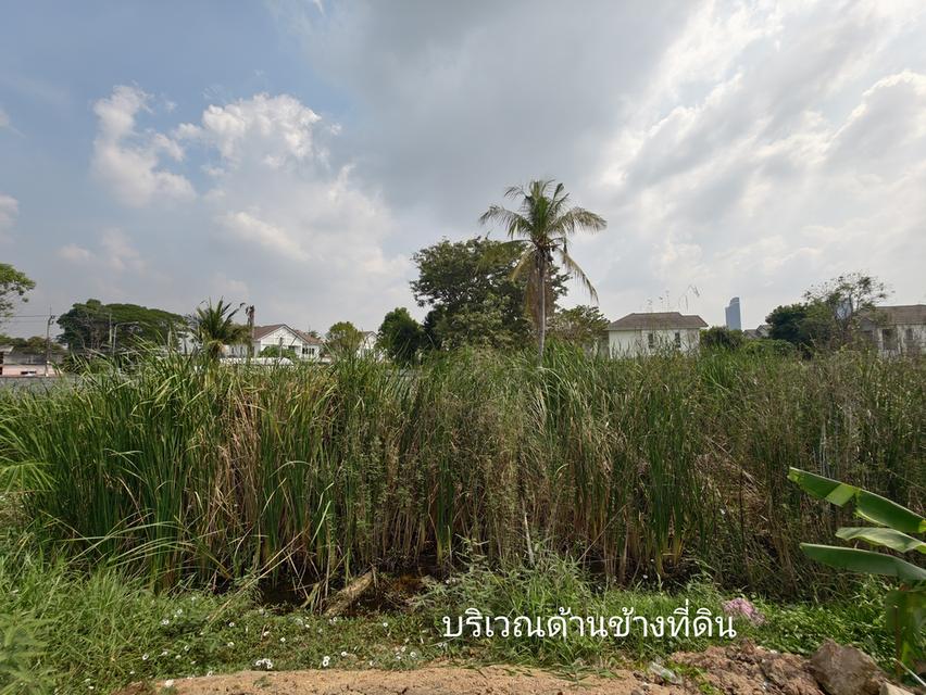 ขายที่ดินเปล่า ไทรม้า นนทบุรี ใกล้แม่น้ำเจ้าพระยา ขายยกแปลง เจ้าของขายเอง 7