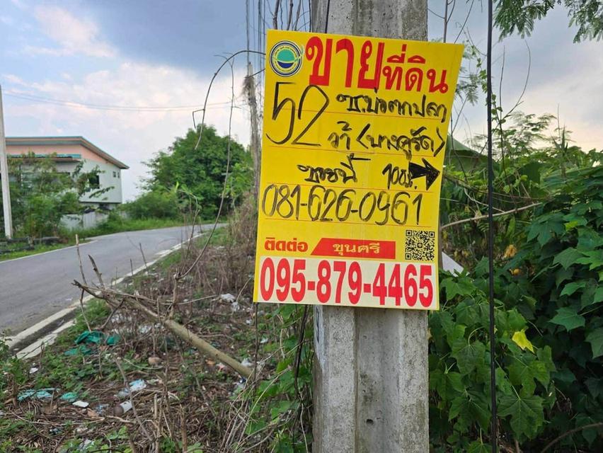 ขายด่วนที่ดิน 52 ตรว ติดถนนลาดยางสาธารณะ ถมแล้ว ต.บางคูรัด อ.บางบัวทอง จ.นนทบุรี 11