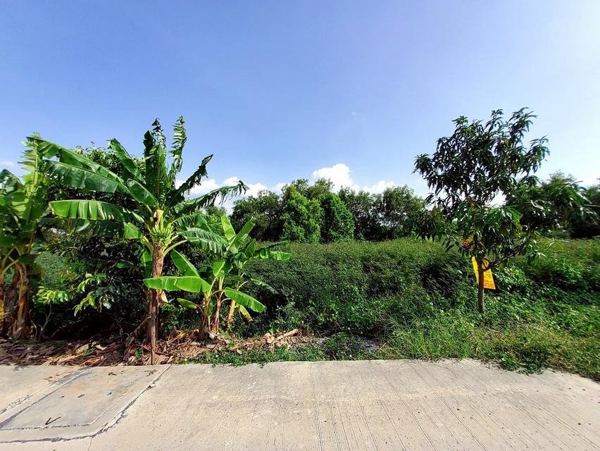 ที่พิน 4