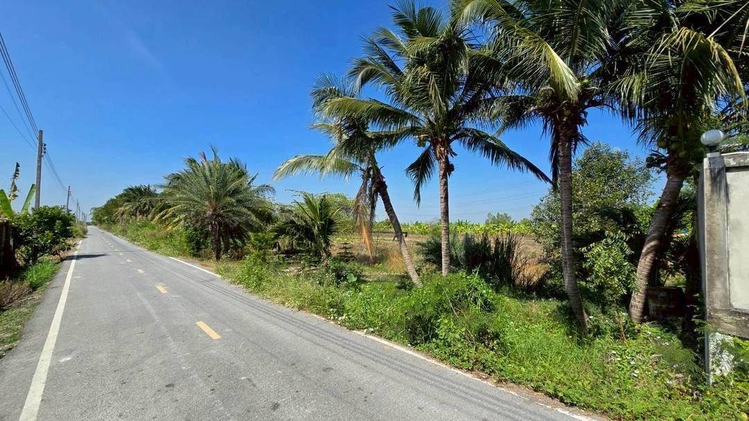 ขายด่วนที่ดินผังสีม่วง 466 ตรว ติดถนนลาดยางสาธารณะ ถนน นบ.3015 อ ไทรน้อย จ.นนทบุรี 6