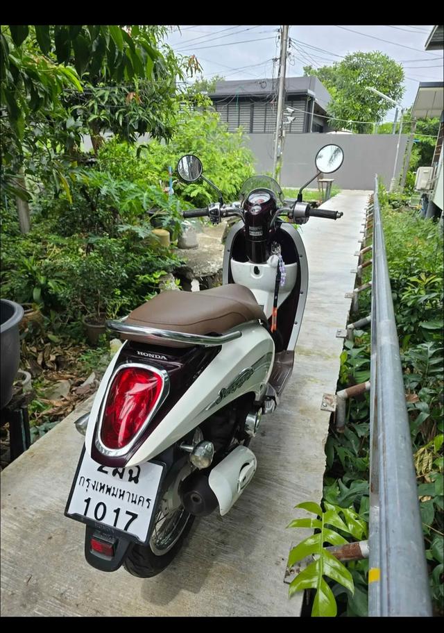 Honda scoopy i 2010 สภาพนางฟ้า สีขาว รูปที่ 6