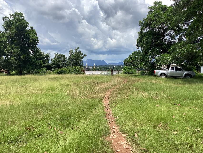 ให้เช่าที่ดืน13ไร่ใกล้สะพาน3ติดถนนเรียบโขงนครพนม 13