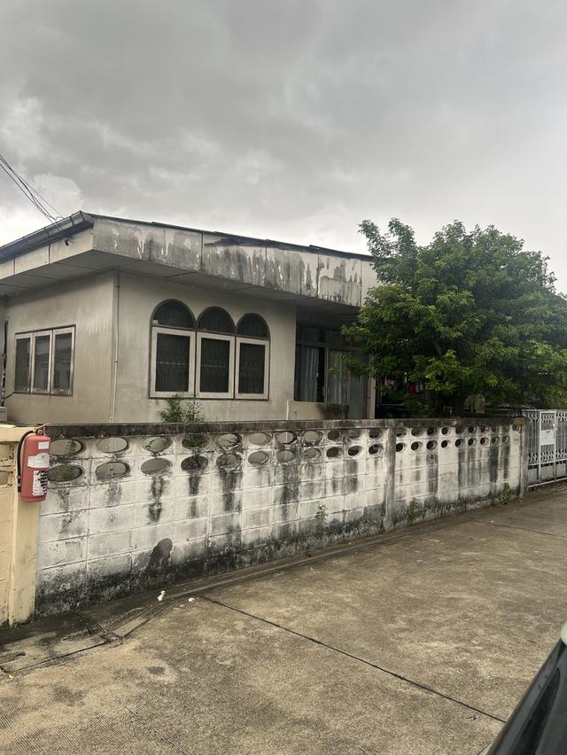ขายบ้านเดี่ยว ประชาชื่น 38 (50 ตร วา) 2
