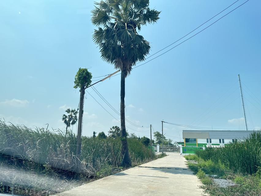 ขายที่ดิน 120 ตร.ว. ทำเลดี ราคาถูกกว่าท้องตลาด 4