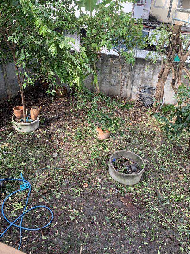 ทีดินเปล่า เนื้อที่ 60 ตารางวา ซอยวิภาวดีรังสิต39 ถนนวิภาวดีรังสิต 3