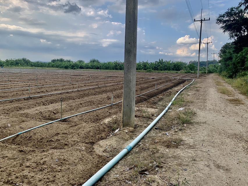 ขายที่ดินสวย2แปลง เนื้อที่รวม26ไร่เศษ สภาพแวดลัอมดี เหมาะลงทุน,ทำเกษตร,จัดสรรหรืออื่นๆ คมนาคมสะดวก 8