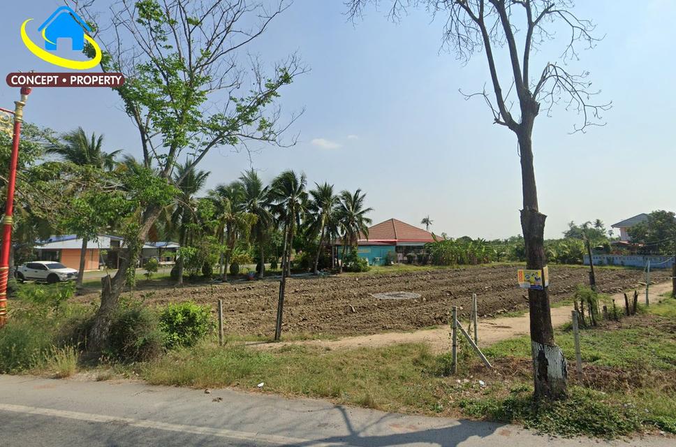ขายที่ดิน 1ไร่ ติดทางหลวงชนบท ดอนตูม นครปฐม 1