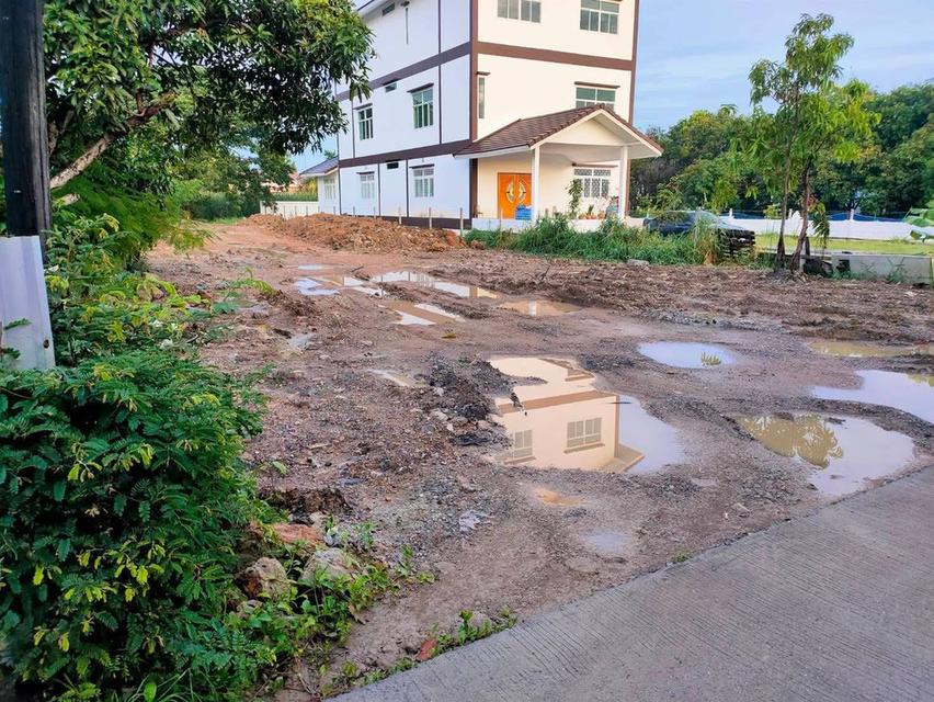 ที่ดิน 2