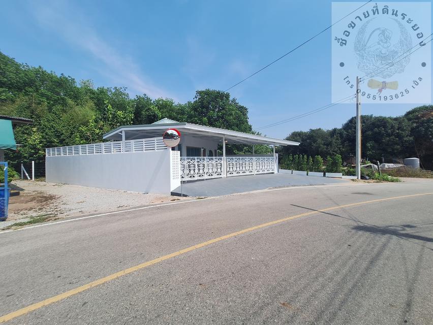 สวนทุเรียนแปลงเล็กระยอง 4