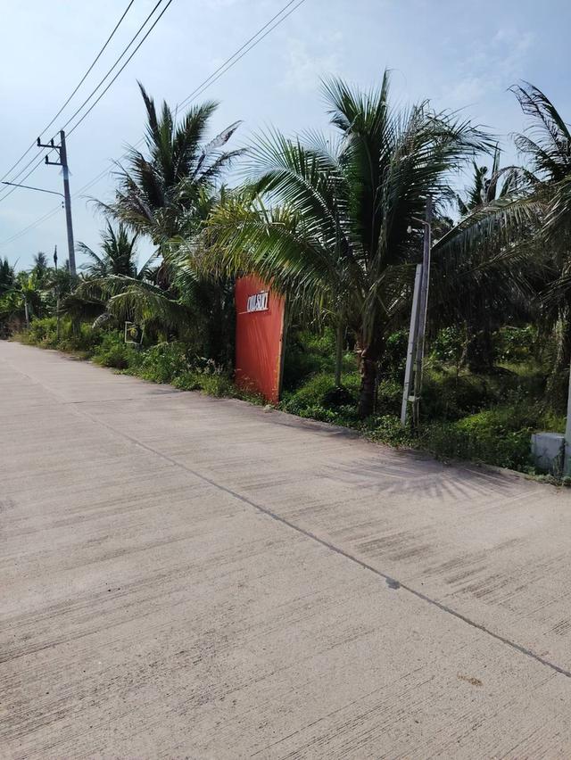 ที่ดิน 18