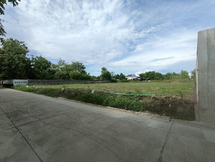 ขายที่ดินเปล่าถมแล้ว 355 ตรว. ซ.ติวานนท์ 44 แยก 2 ที่ดินทรงสวยเหมาะกับปลูกบ้านพักอาศัย 7