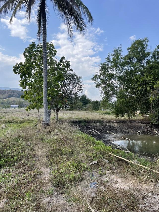 ที่ดินเชียงราย 5 ไร่ 5