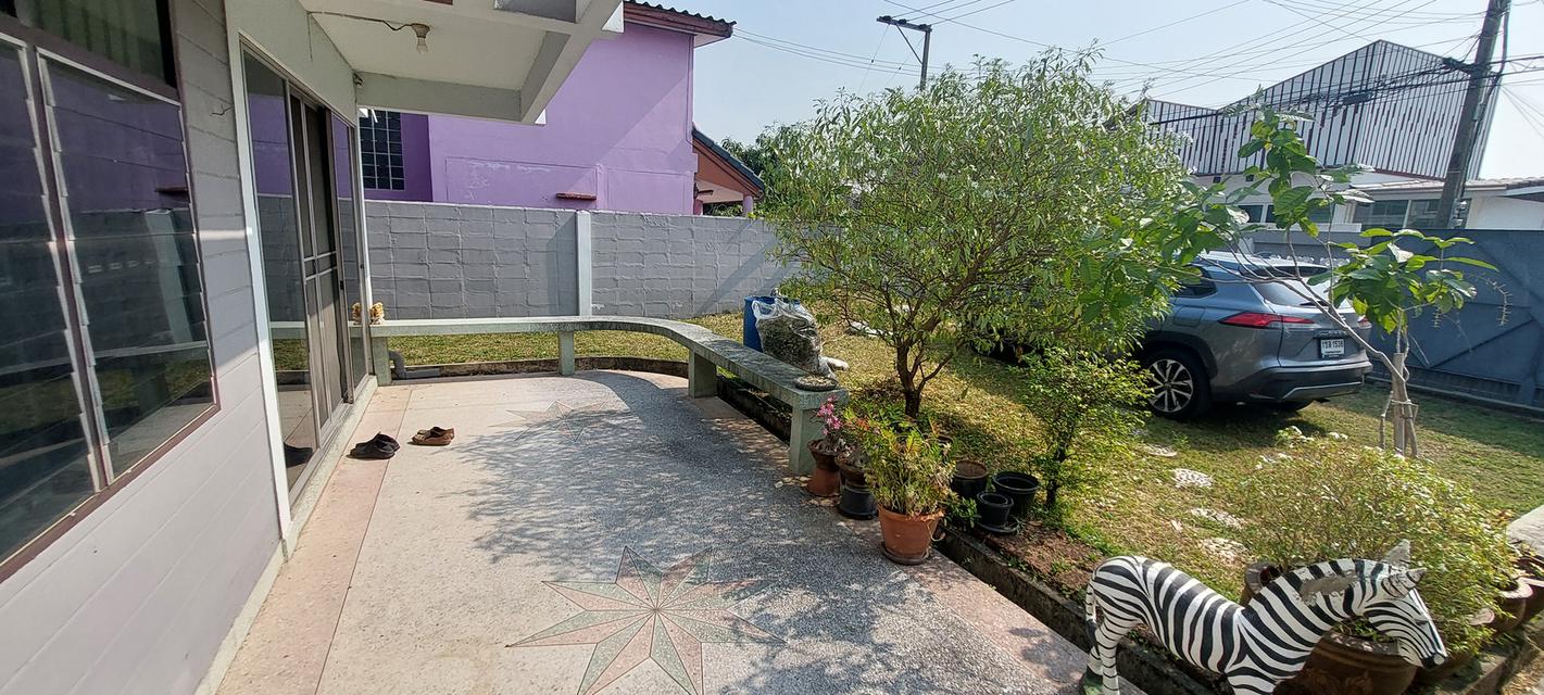 ขายบ้านเดี่ยว 85 ตรว. ม.เจริญสุข ซ.เพชรเกษม 52 แยก 10 พื้นที่เยอะ 12