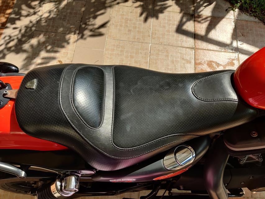ขาย Harley Davidson 883R