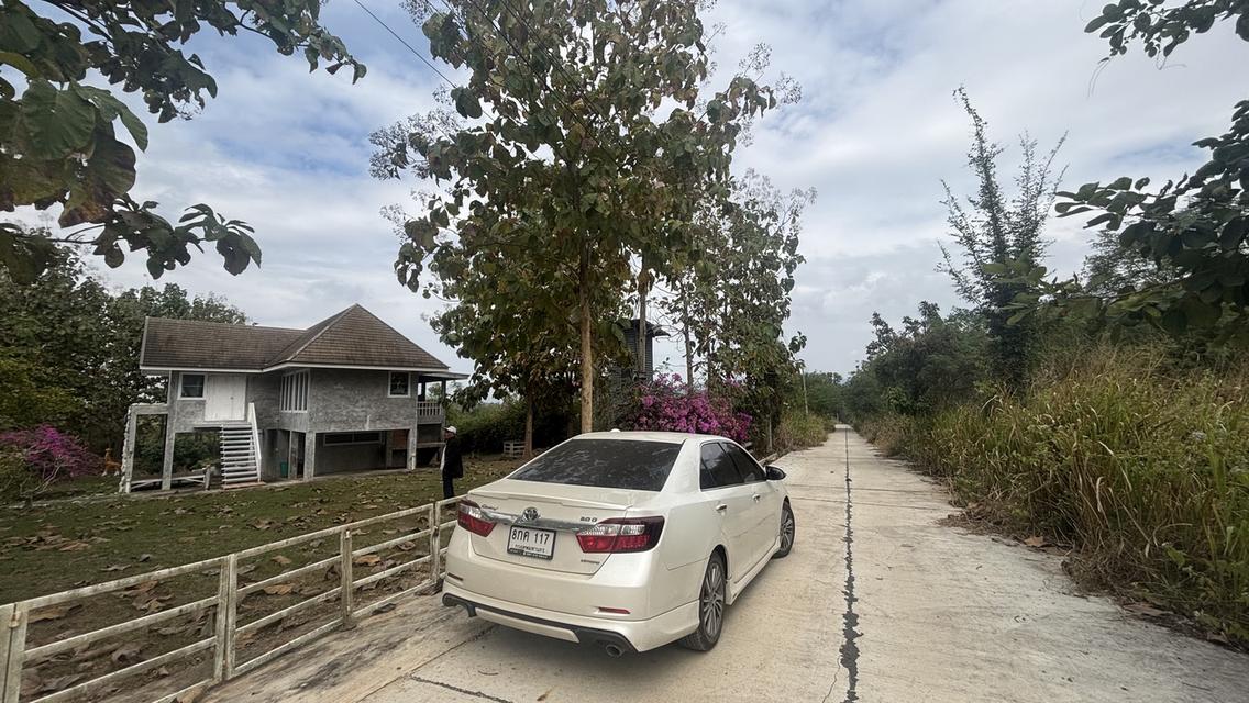 ที่ดินพร้อมบ้าน 2 ไร่ 2.7 ล้าน ต.วังหมี บ้านโคกสันติสุข 14