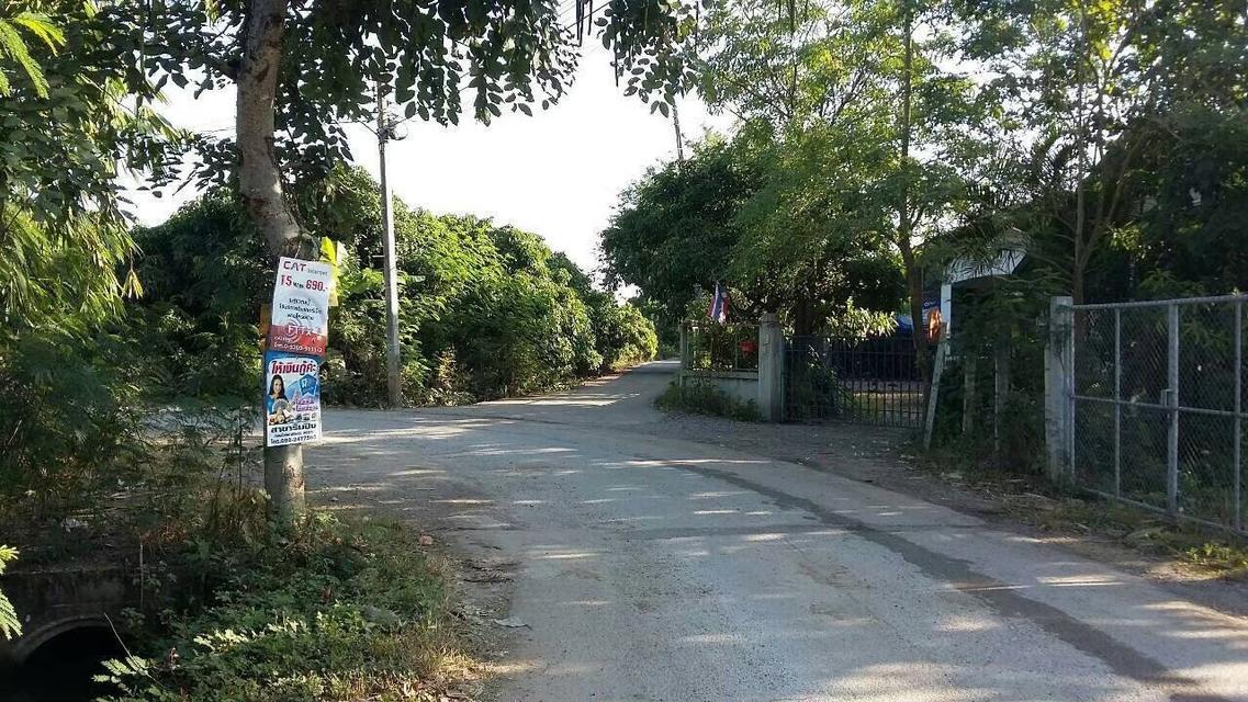 ที่ดินพร้อมบ้าน จังหวัด ลำพูน อำเภอเมือง 4