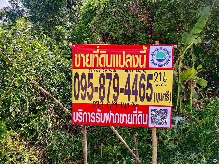 ขายถูกที่ดินใกล้ตลาดไท 216 ตรว ติดถนนคอนกรีตสาธารณะ 2ด้าน ซ.ไอยรา 26,27 คลองหลวง ปทุมธานี 2