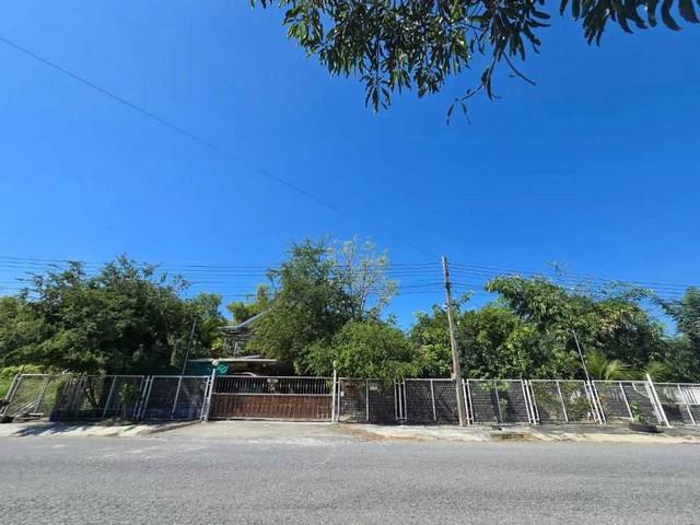 บ้านเดี่ยว หมู่บ้านร่มรื่นการ์เด้นวิลล์3 พื้นที่ 216 ตร.ว.4 ห้องนอน 4 ห้องน้ำ ต.วังจุฬา อ.วังน้อย จ.พระนครศรีอยุธยา 6