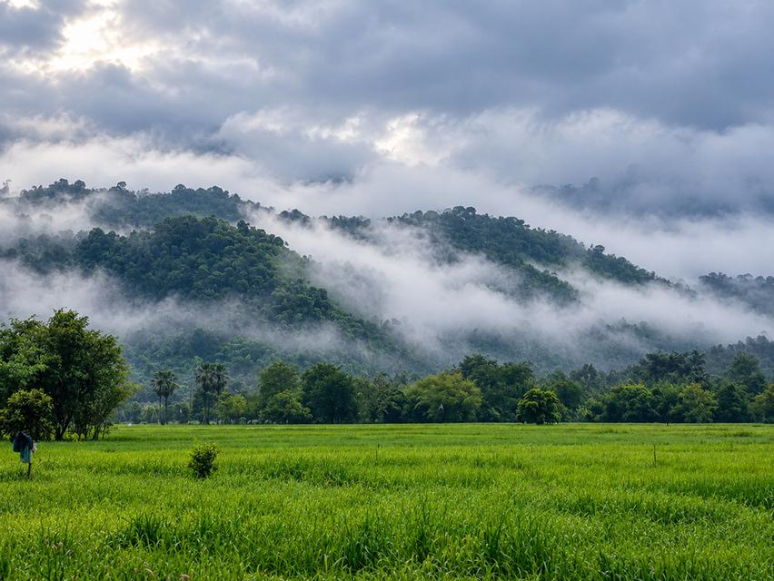 ขายที่ดินปากพลี นครนายก14ไร่ แนวธรรมชาติ วิวภูเขา บรรยากาศสงบ 🌿⛰️ 1