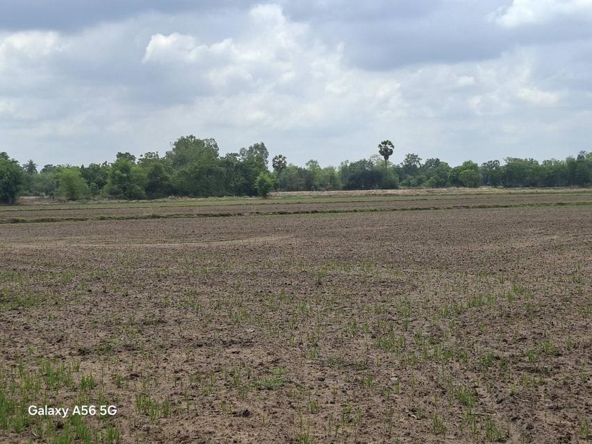ขายที่ดิน 31 ไร่ 322 ตร.วา ติดถนนใหญ่ หนองขาหย่าง อุทัยธานี ผังเมืองสีชมพู 7