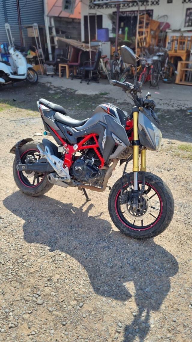 GPX Demon 150 GN ปี 2019 3