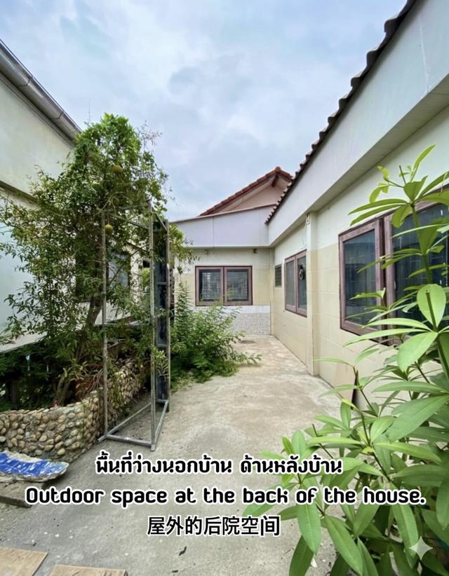 บ้านเดี่ยว32ตร.ว. ราคา2.99ล้าน (รวมภาษีรวมโอน) Detached House: 32 Sq.Wah / 2.99 Million Baht (All taxes and transfer fees included) 11